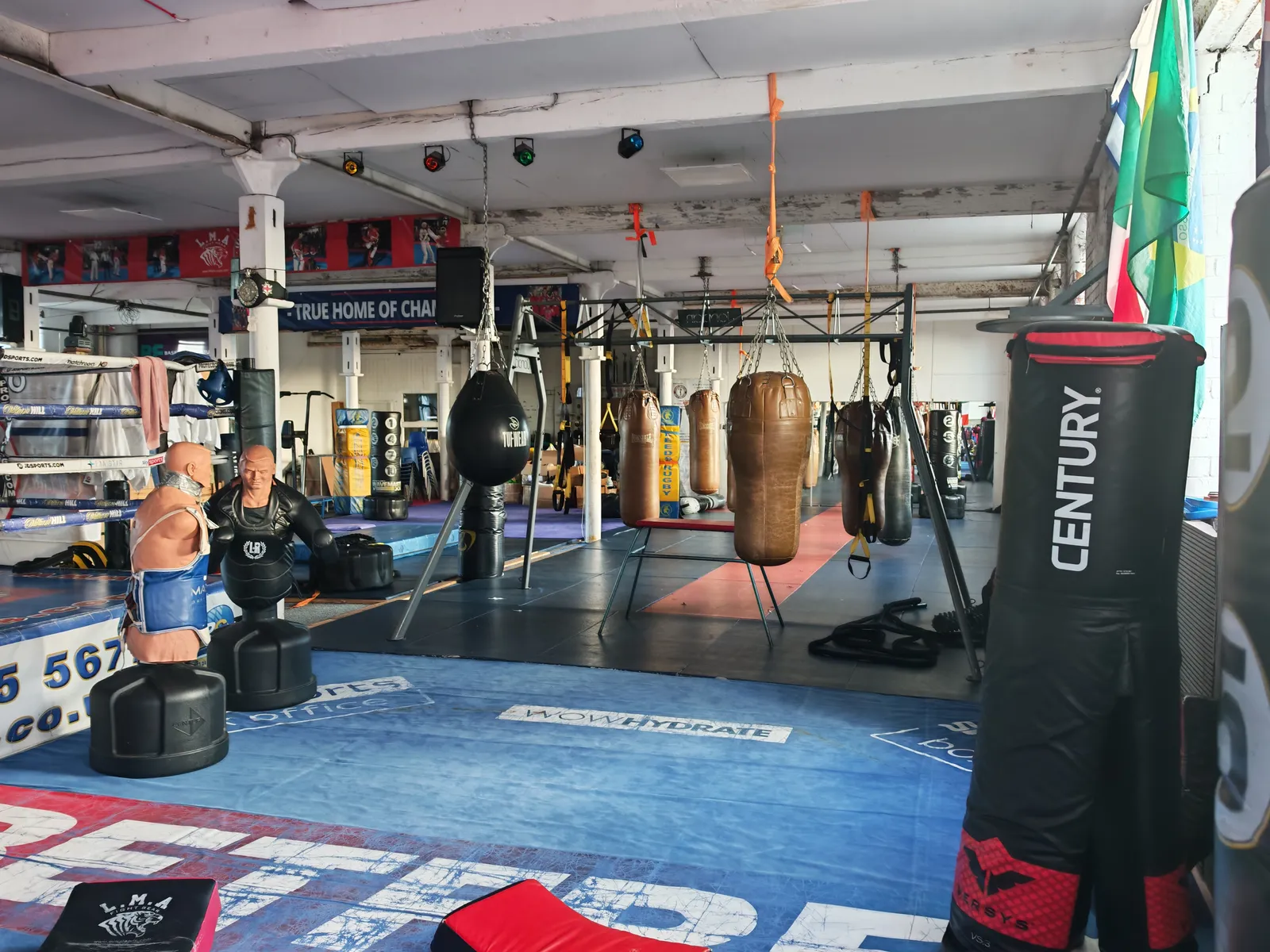Heavy bags hanging across the LMA training floor